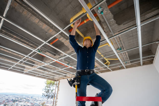 Best Local Plumber Services  in Buffalo, MO